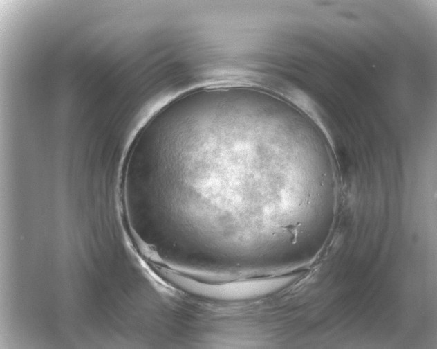 X0000066091485200603131151