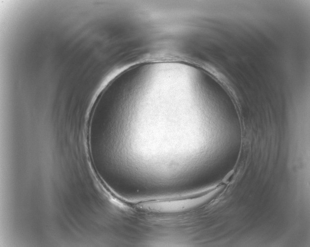 X0000066091486200603131151