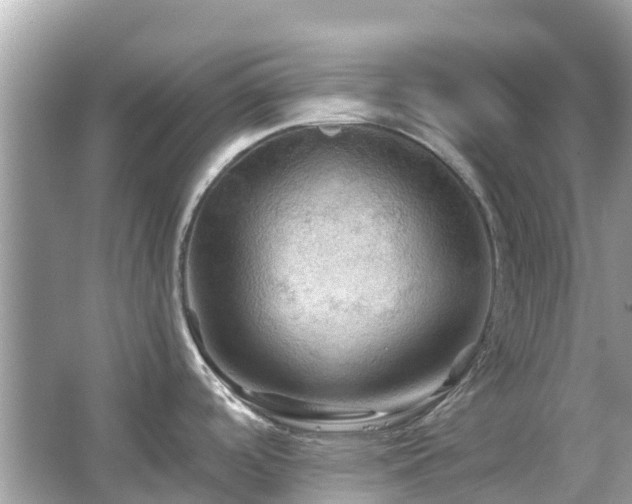 X0000066091488200603131151