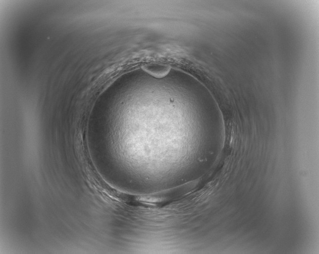 X0000066091489200603131150