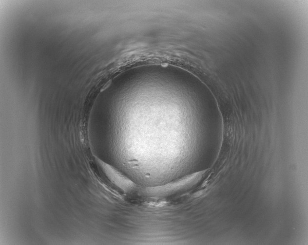 X0000066091490200603131150