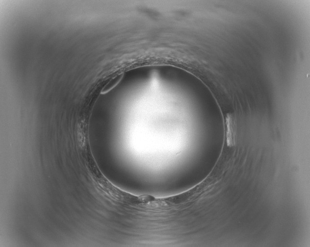 X0000066091491200603131150