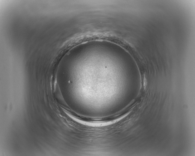 X0000066091492200603131150