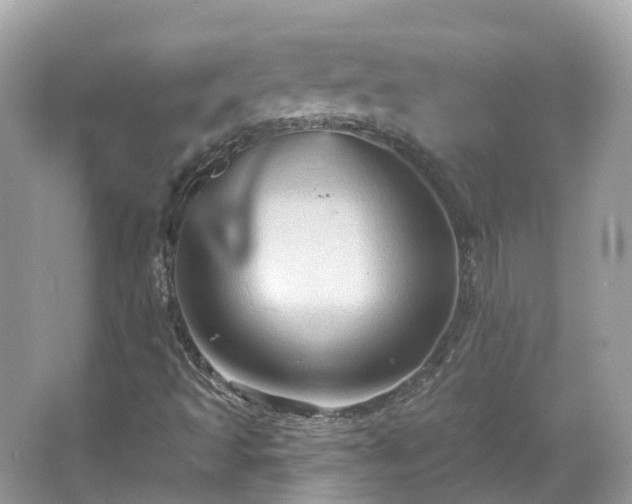 X0000066091493200603131150