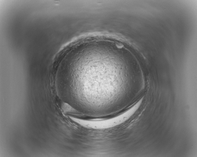 X0000066091494200603131150