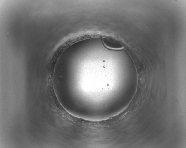 X0000066091495200603131150