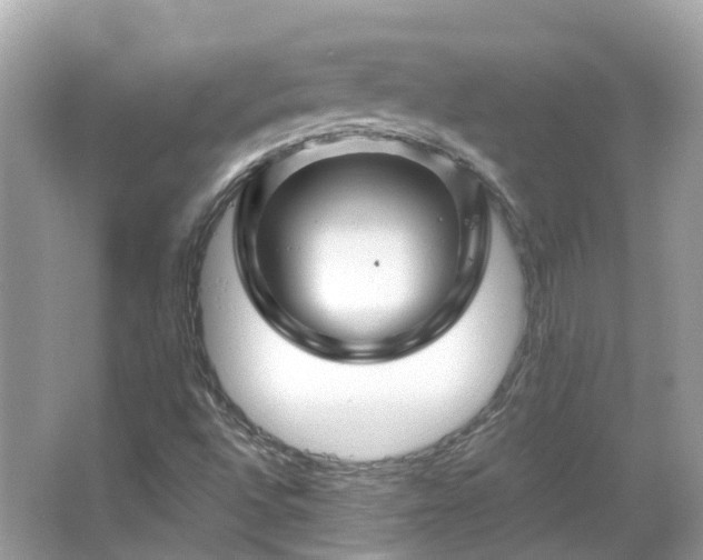 X0000066091496200603131150