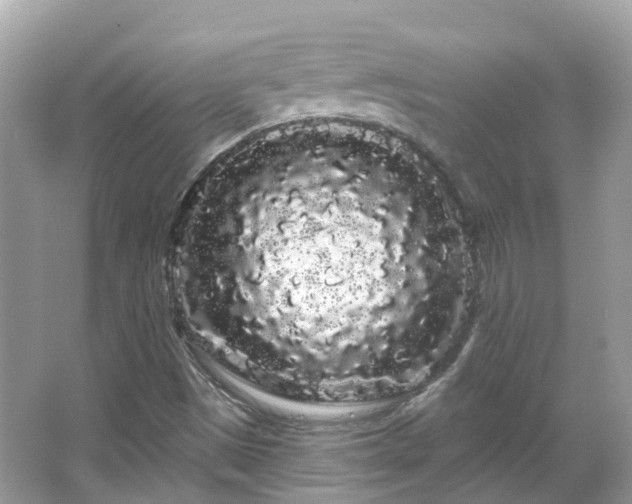 X0000066091497200603131150