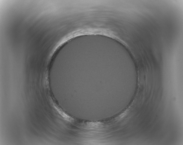 X0000066091498200603131150