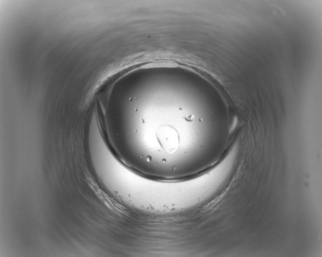 X0000066091499200603131150