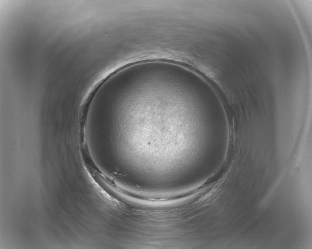 X0000066091500200603131150