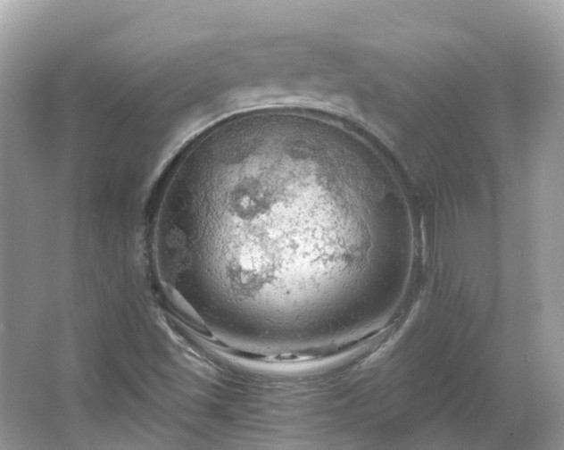 X0000066091501200603131150