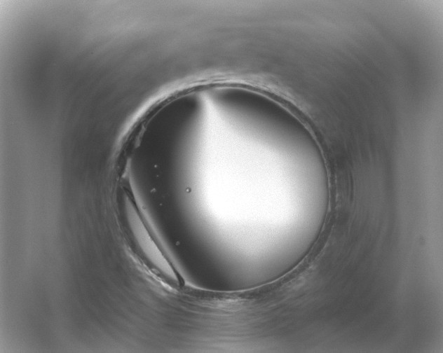 X0000066091502200603131150