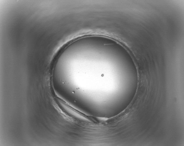 X0000066091503200603131150