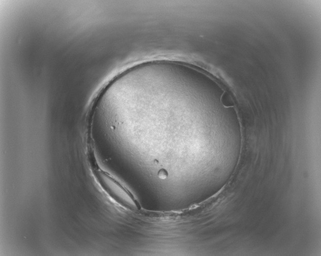 X0000066091504200603131150