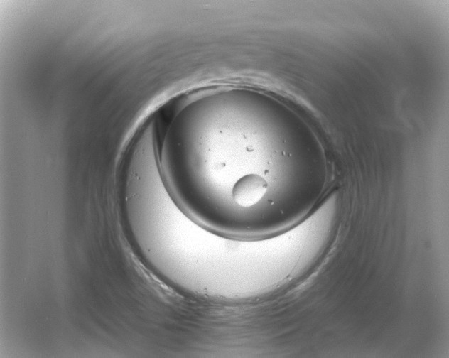 X0000066091506200603131150