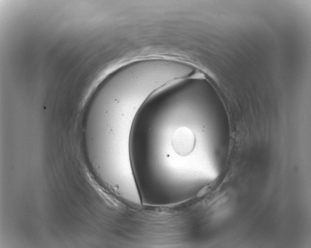 X0000066091507200603131150