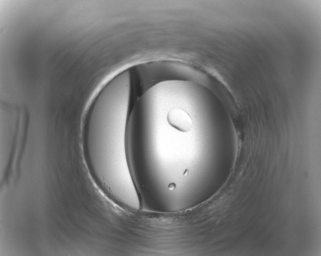 X0000066091508200603131150