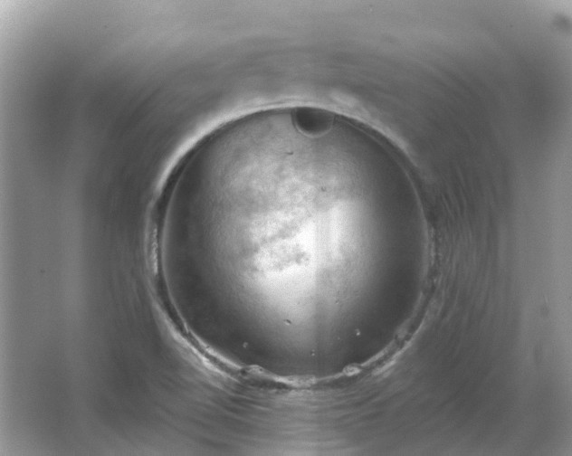 X0000066091510200603131150