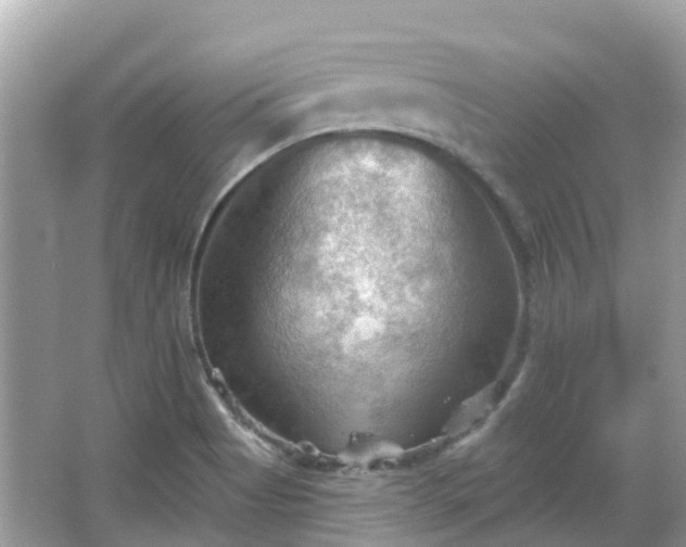 X0000066091513200603131150