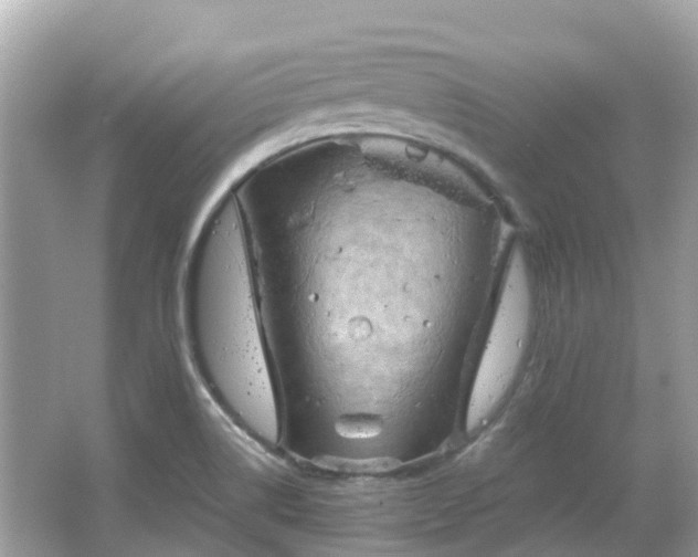 X0000066091514200603131150