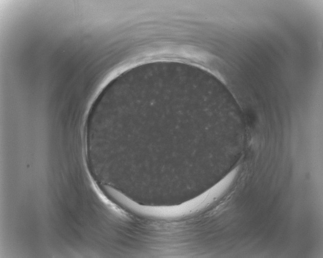 X0000066091515200603131150