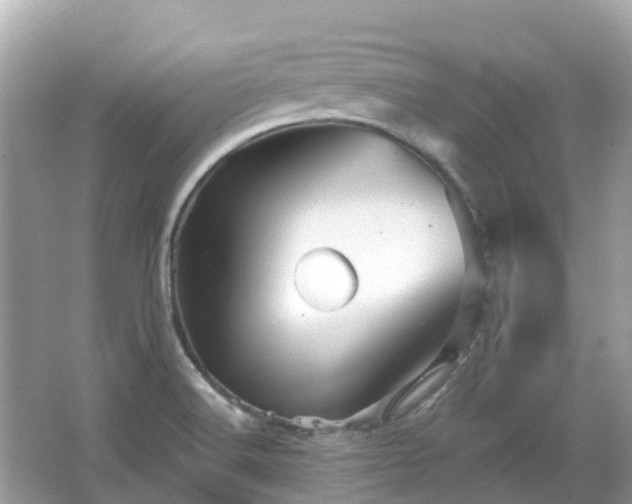 X0000066091516200603131150