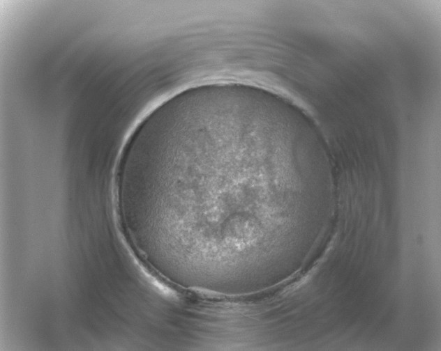 X0000066091517200603131150