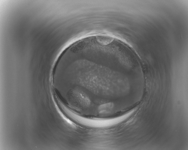 X0000066091519200603131150