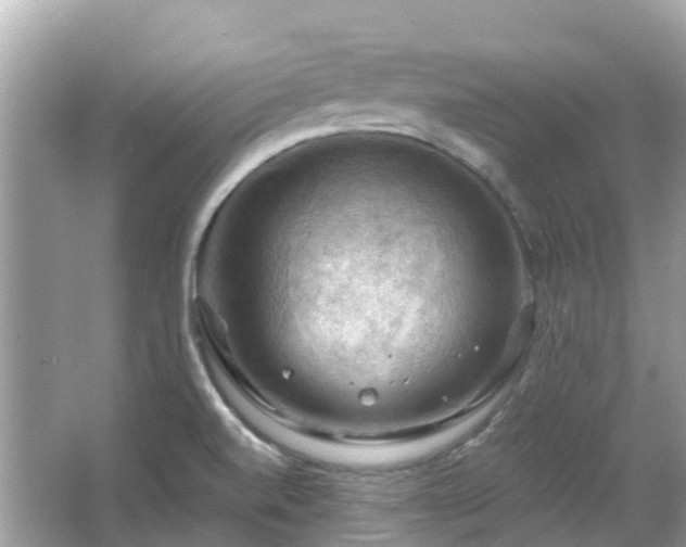 X0000066091520200603131150