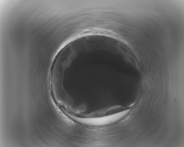 X0000066091522200603131150