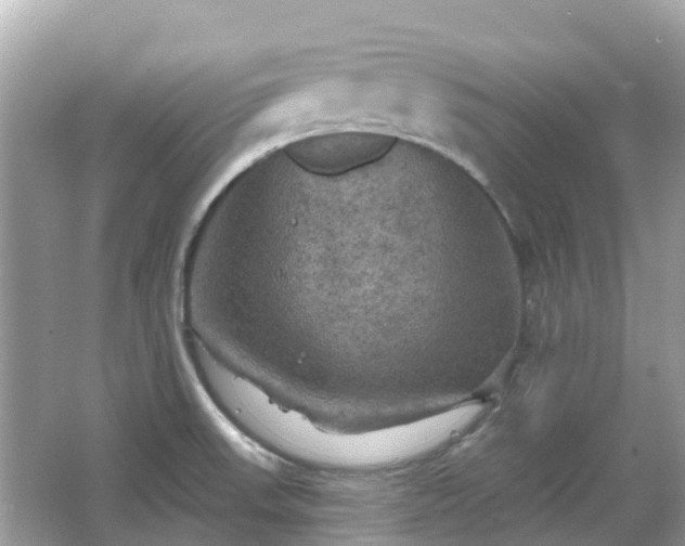 X0000066091523200603131150