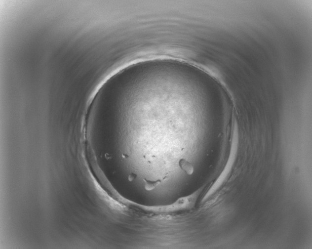 X0000066091524200603131150