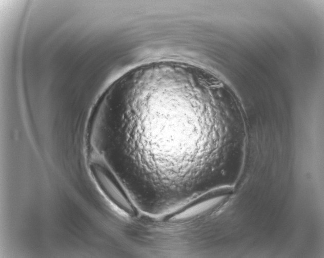 X0000066091525200603131150