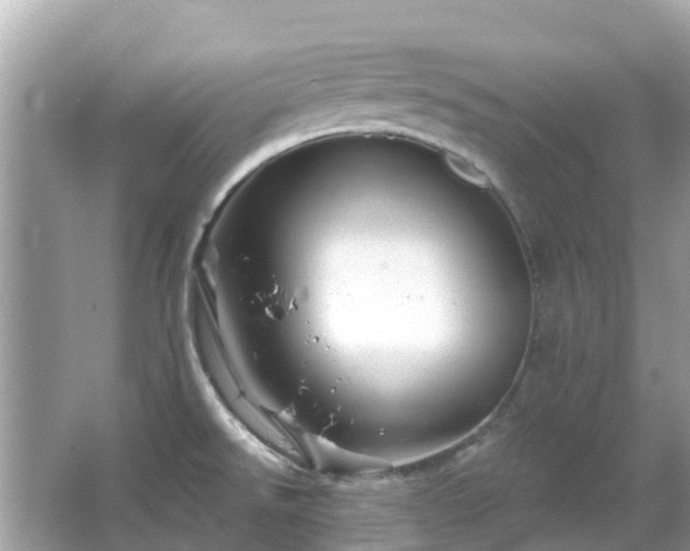 X0000066091526200603131150