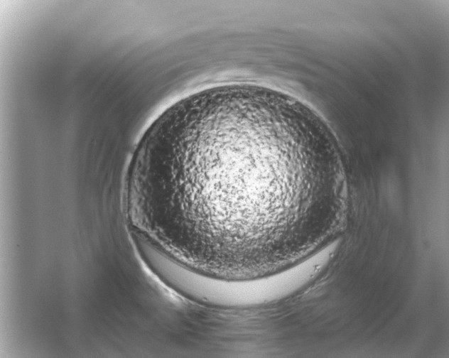 X0000066091527200603131150