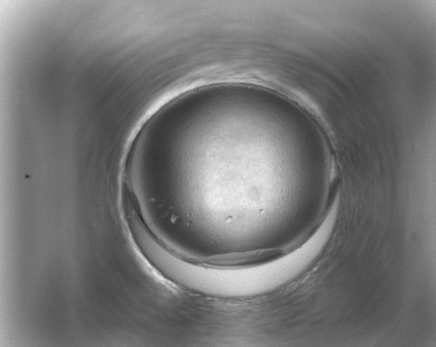 X0000066091528200603131150