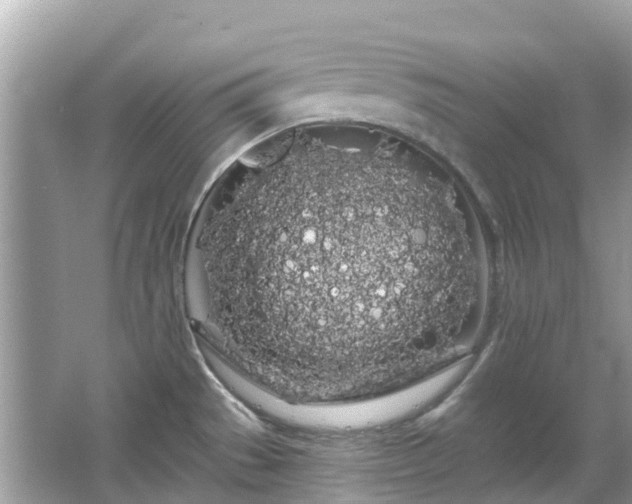 X0000066091529200603131150