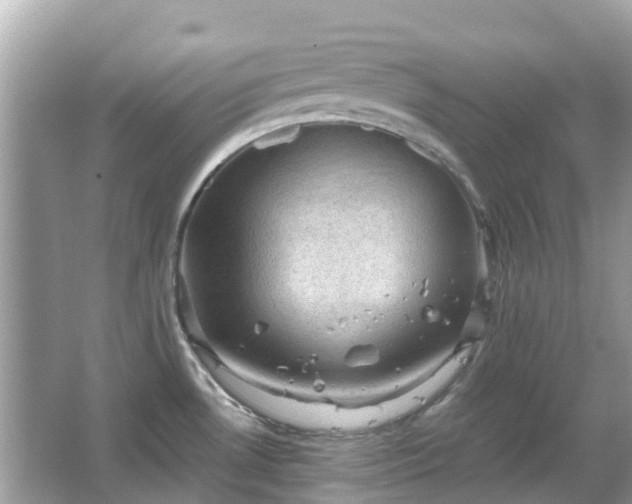 X0000066091530200603131150