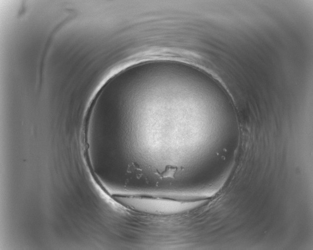 X0000066091531200603131150