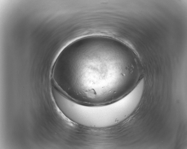 X0000066091532200603131150