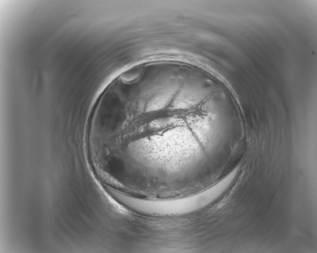 X0000066091533200603131150