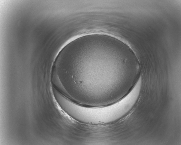 X0000066091534200603131151