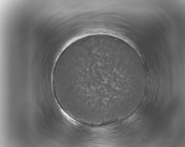 X0000066091535200603131151