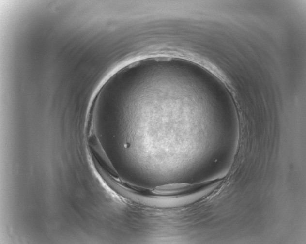 X0000066091536200603131151