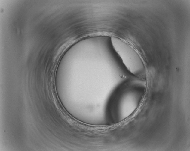 X0000066090001200603171107