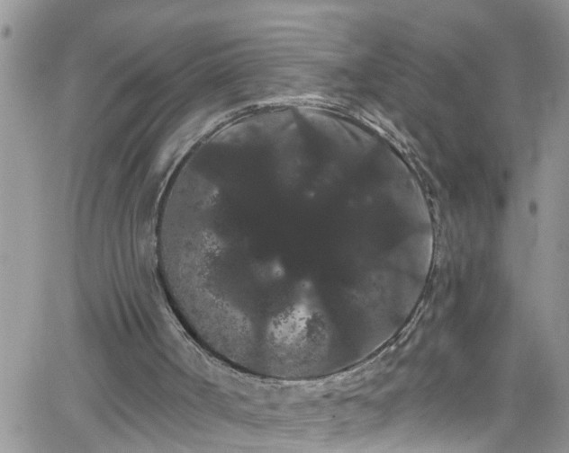 X0000066090002200603171107