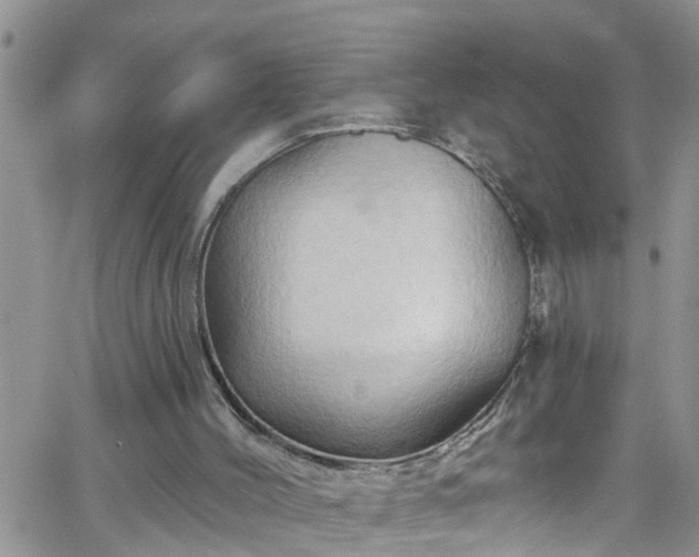 X0000066090004200603171107