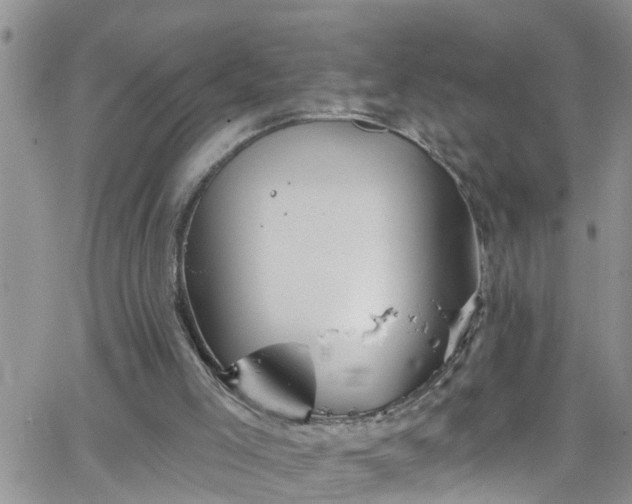 X0000066090005200603171107