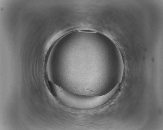 X0000066090007200603171107